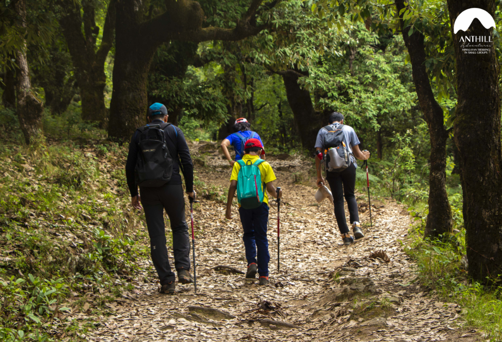 Beginners’ Guide for Being Outdoors on Family Treks