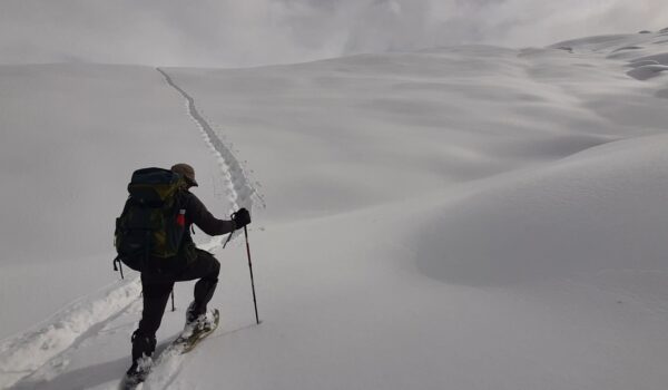 Snowshoeing